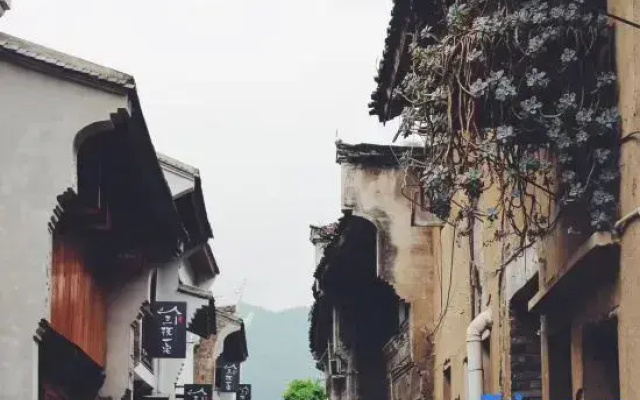 Three Governors' Villa