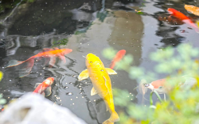 Tongli 1917 Best South Boutique Inn