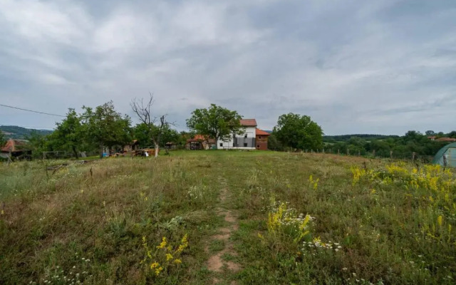 Guest House Glogovac