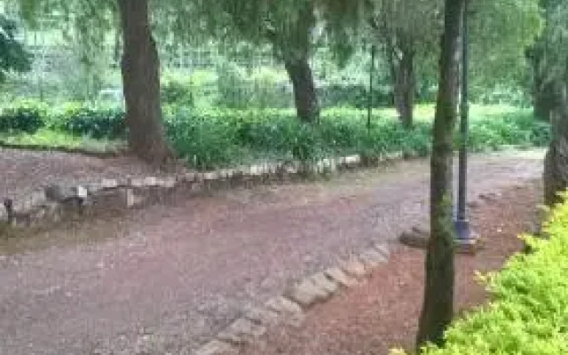 Marsh Villa Luxury Resort