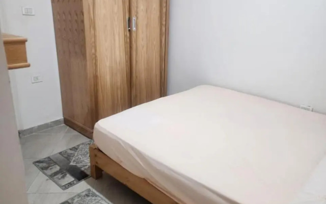 شقه الهاني