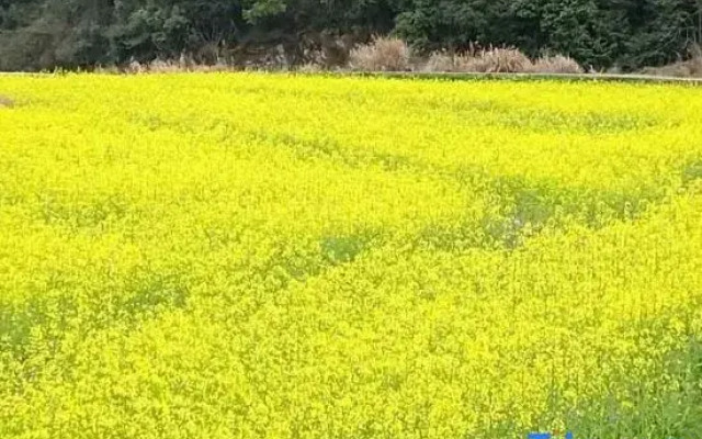 Wuyuan waiting for your homestay