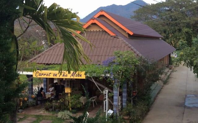 Carrot On The Moon Hostel