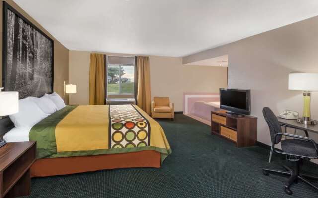 Super 8 by Wyndham Ionia MI