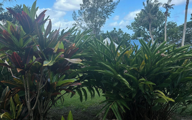 Vanuatu Villas
