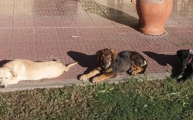 La Perdida Casa de Campo