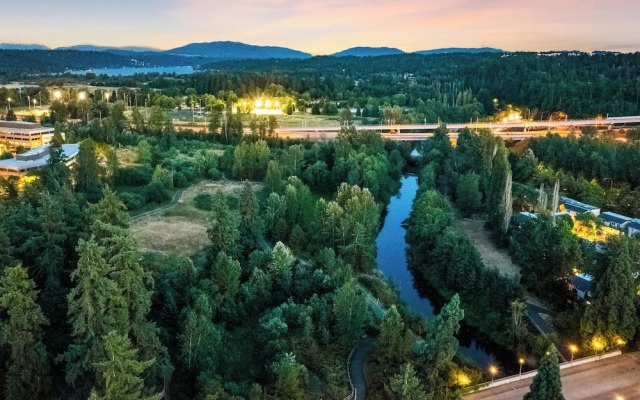 Posh Lofty Pad in Central Redmond
