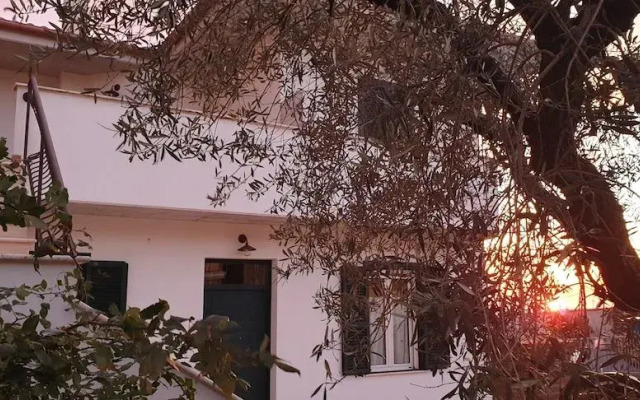 B&B Il Falco e l'Ulivo