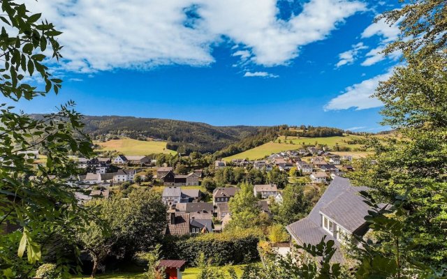 Magnificent Holiday Home in Willingen near Forest