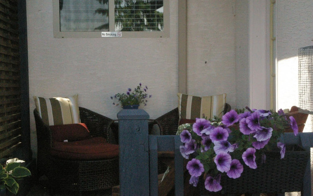 Shady Shores Beach Resort