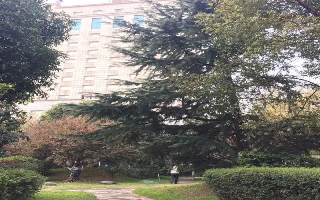 Junyi Frontier Hotel