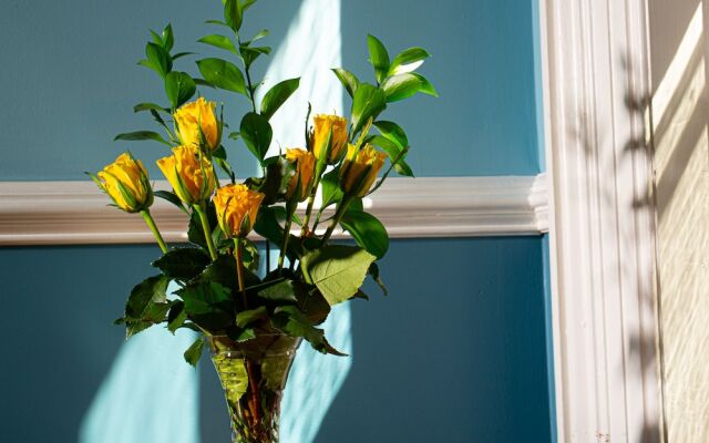 Rosemont Inn Bed & Breakfast