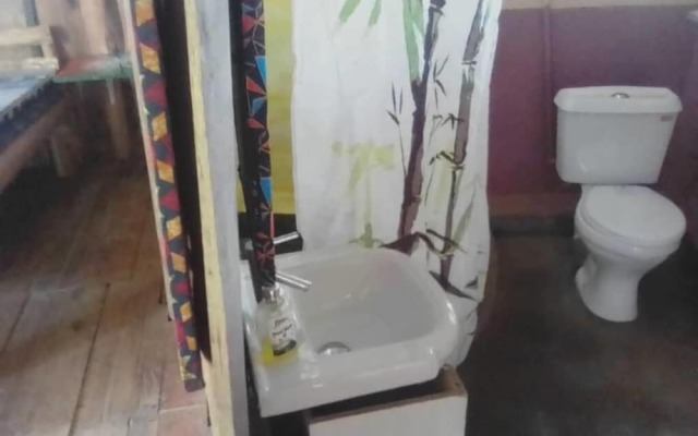 Kalitusi Backpackers Hostel and Campsite