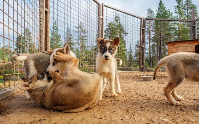 Star Arctic Hotel & Activities