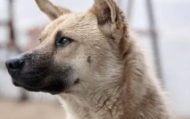 Xinchang Tingwushan Homestay