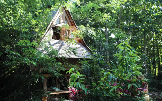 Roots Tree House