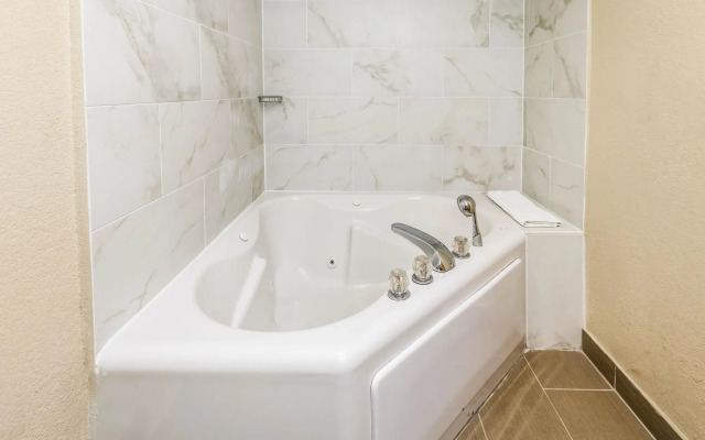 Comfort Inn Detroit Downtown