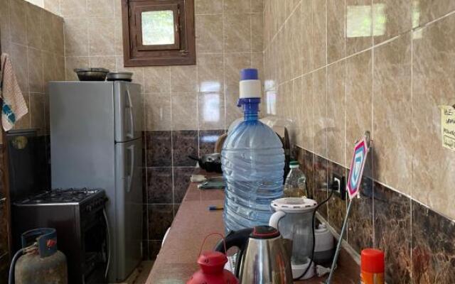 The Mountain View Apartment