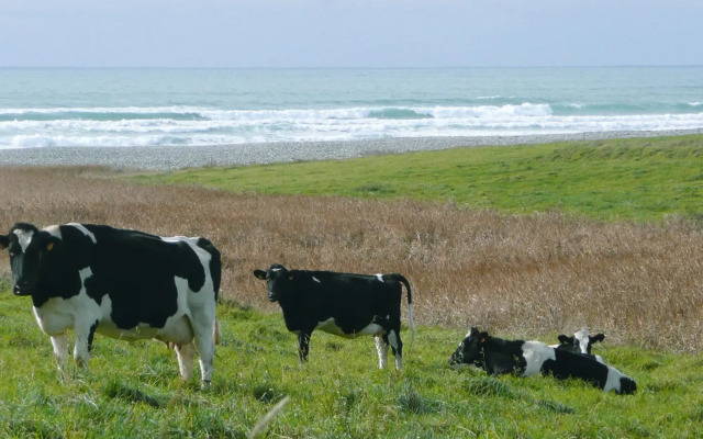 Holiday Home, Plovan