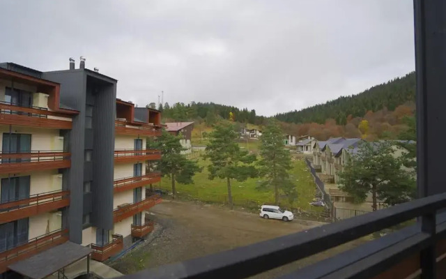LEO GROUP Luxury Apartment 04-32 BAKURIANI INN