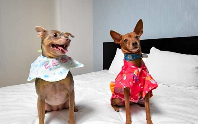 Regariain - Vacation STAY 85010