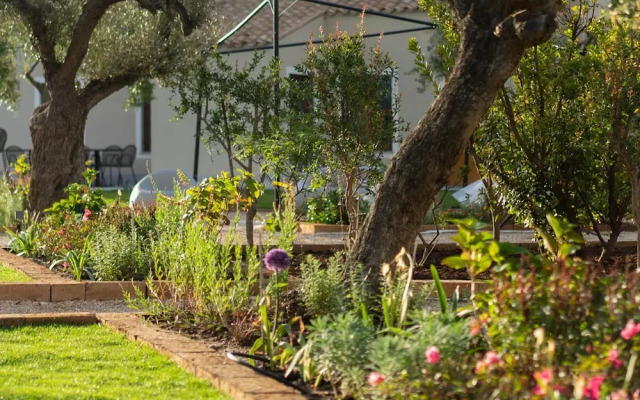 Locanda Della Meridiana - Olivo