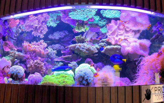 Hotel Atlantico Guarapari