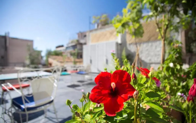 Lovely, central, private balconies, roof garden! - EP7