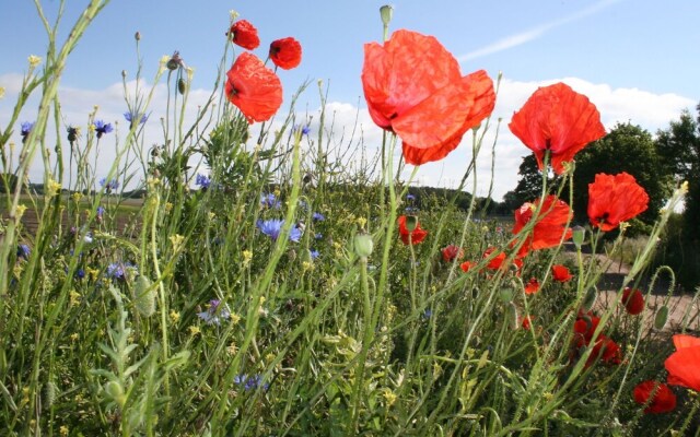 Appartement am Meer auf der Insel Poel mit Sauna