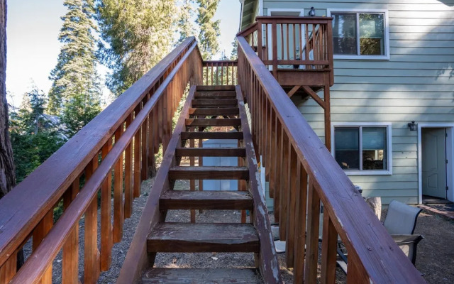Yosemite Woods