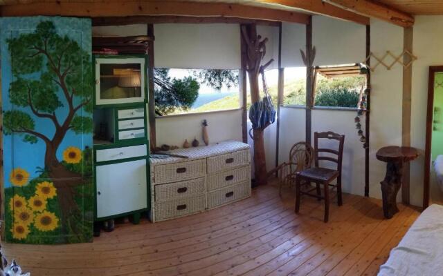 Casetta sull'Albero, Girasole