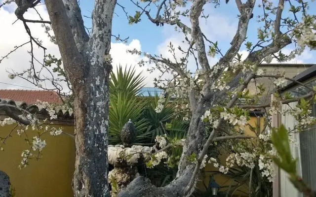 SantAntonio Garden Hotel