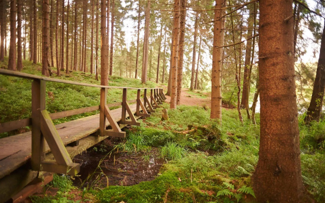 Naturkost-Hotel Harz