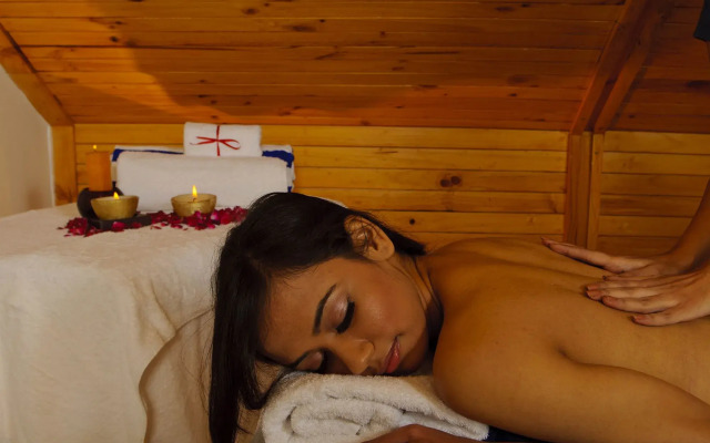 Mastiff Grand Manali