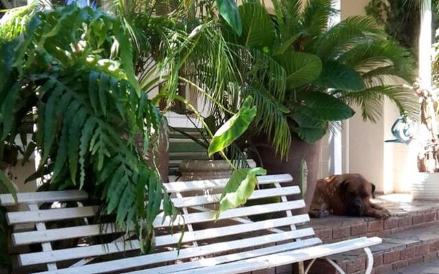 Mavilla Stellenbosch B&B