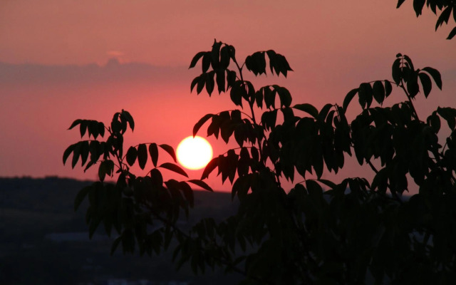 Szent Iván Apartman