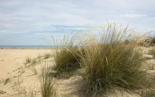 Residenza Excelsior 703