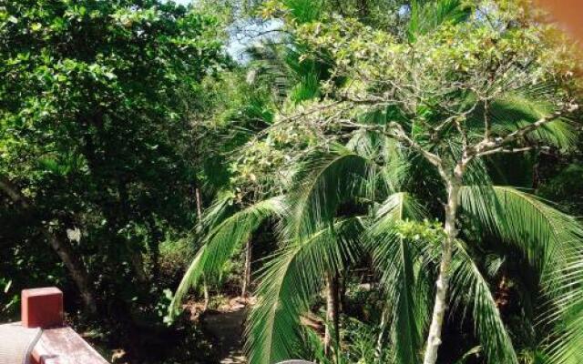 Casa Manglar Guesthouse