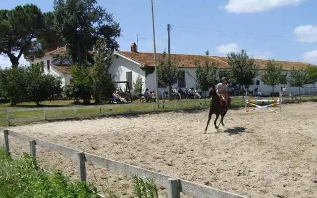 Bicoca - Nuova Fattoria