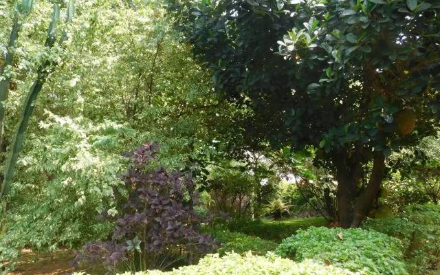 Soho Greens Apartments Apt 1