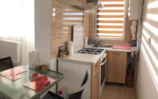 Lovely Apartment in Craiova