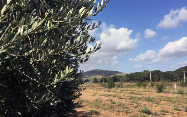 Agriturismo Monte Alzato