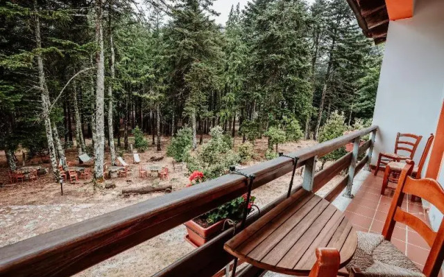 Vallicciola Monte Limbara Nature Hotel