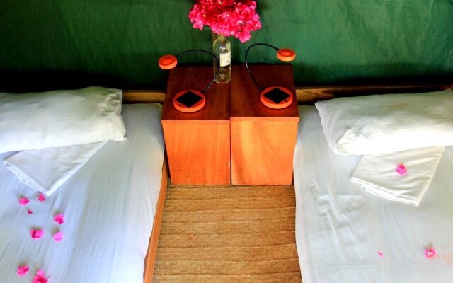 Distant Relatives Ecolodge & Backpackers