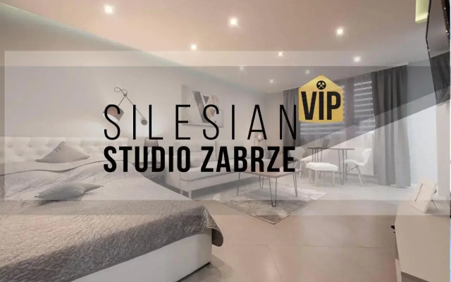 Studio Silesian Vip