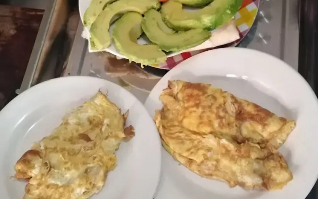 Hôtels bois vert