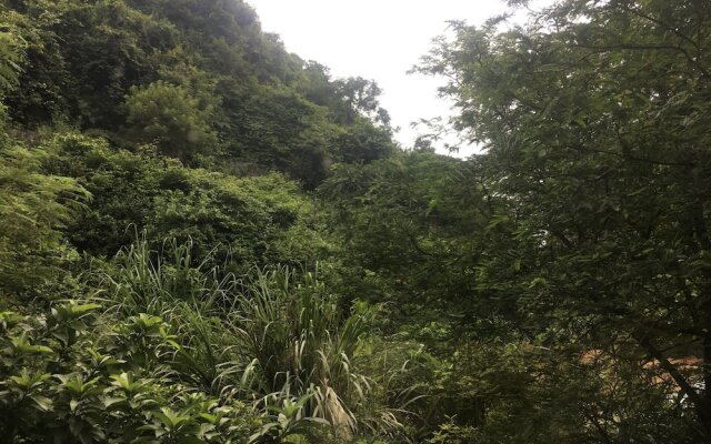 Black Pearl Cat Ba Hostel