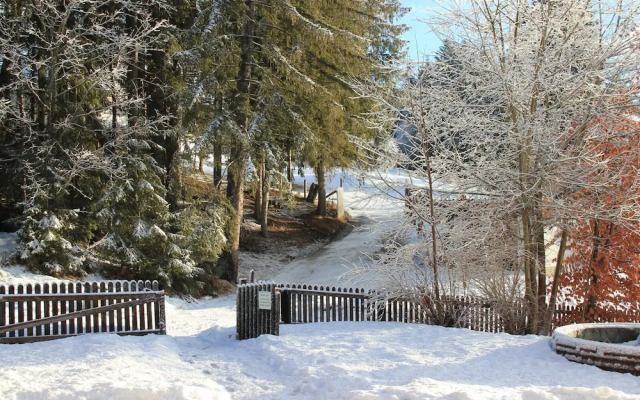 Chalet in Mariapfarr Near ski Area