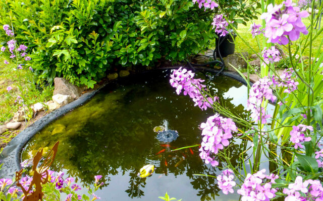 Schmetterlingsgarten