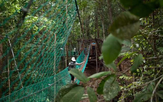 Borneo Tropical Rainforest Resort